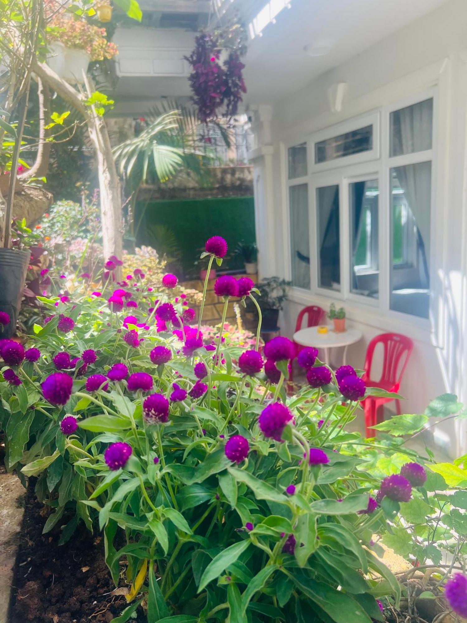 Villa - Hotel Nam Khang 2 Dalat Zewnętrze zdjęcie