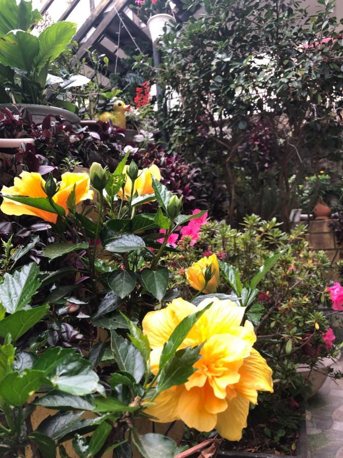 Villa - Hotel Nam Khang 2 Dalat Zewnętrze zdjęcie